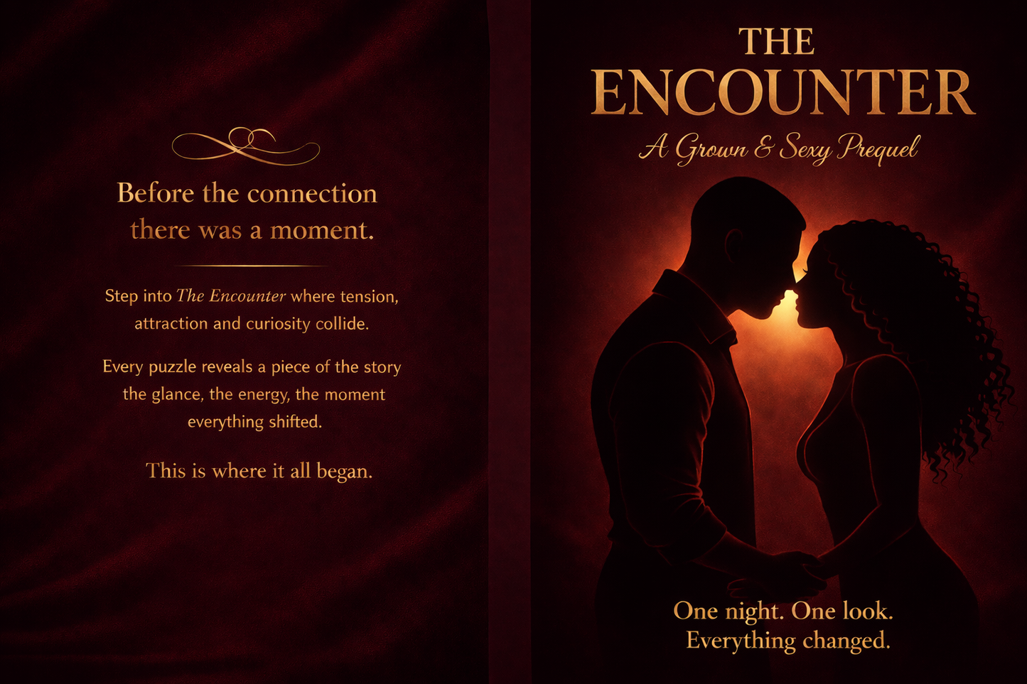 The Encounter: A Black Love Word Search Romance